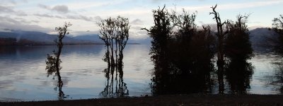 The  Secure CMS Geeklog