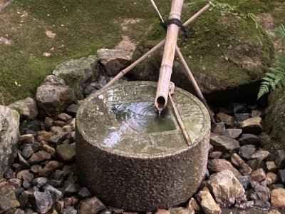 Ivy’s Healing Notes