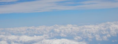 チリワインの輸入　Terra Bendita Sales Agent