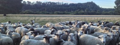 OSS Japanへご参加ください。